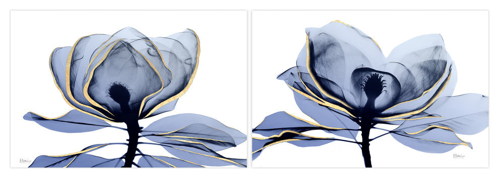 "Golden Midnight 1 & 2" Frameless Floating Panel Graphic Wall Art, 32"x48"