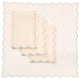 Sleek Chic Sheer 20 by 20-Inch Napkins, Set of 4, Silver