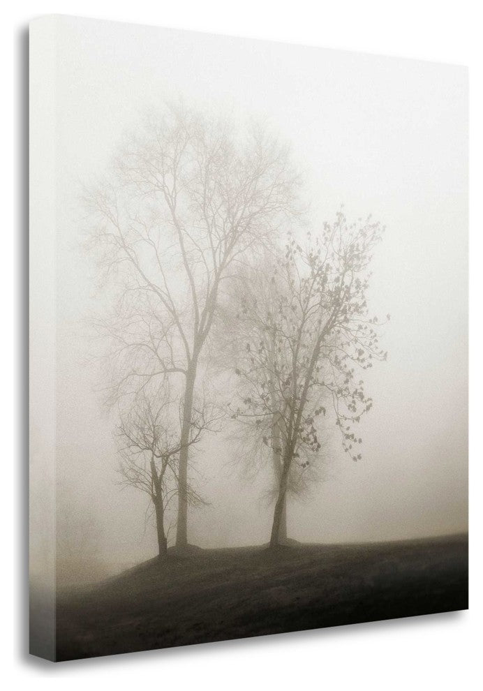 "Four Trees In Fog" By Nicholas Bell, Giclee Print on Gallery Wrap Canvas