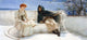 Sir Lawrence Alma-Tadema A Declaration, 15"x30" Wall Decal