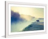"Horse in the Fog" Framed Art Print