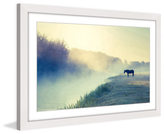 "Horse in the Fog" Framed Art Print