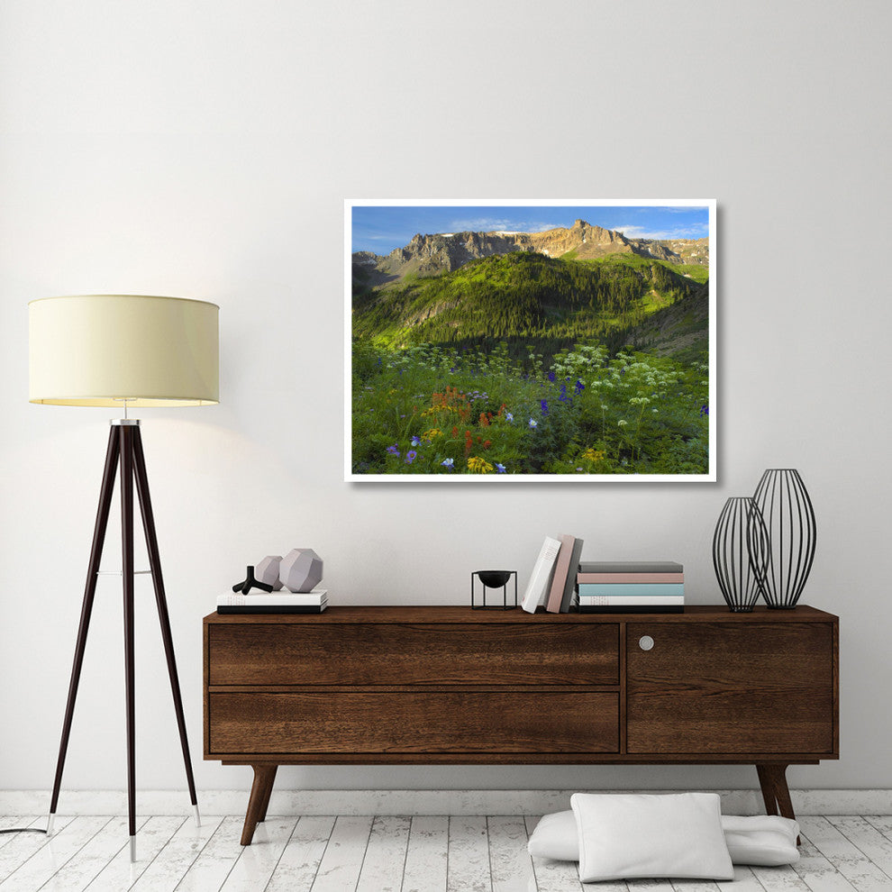 "Wildflower meadow, Mt Sneffels Wilderness, Yankee Boy Basin" Paper Art, 50"x38"