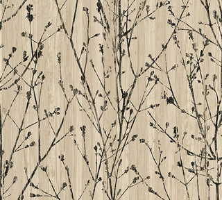 Borneo, Exotic Tropical Atmosphere Beige Wallpaper Roll,Nature Wall Decor