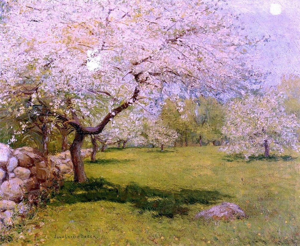 John Leslie Breck Apple Blossoms, 20"x25" Wall Decal Print