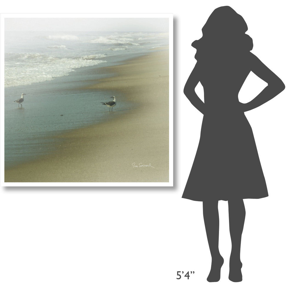 "Seabirds" Digital Paper Print by Sue Schlabach, 42"x42"