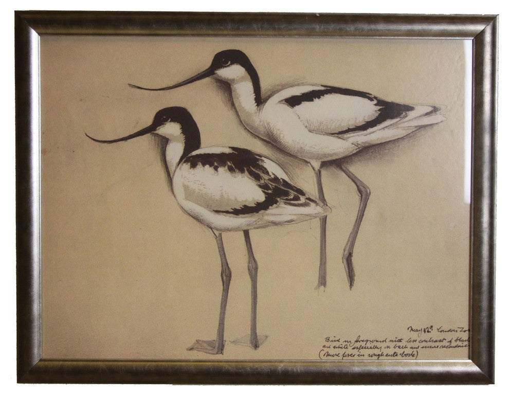 Two Black And White Water Birds, Silver Frame
