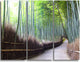 "Kyoto Bamboo Forest Pathway" Forest Metal Wall Art, 3 Panels, 36"x28"