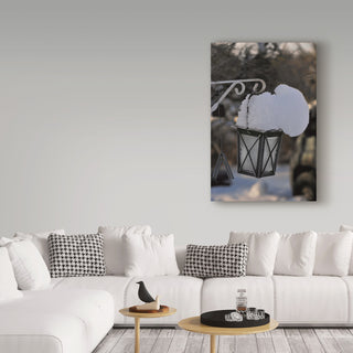 "The Weight of the Season" by Christine Sainte-Laudy, Canvas Art