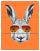 Funny Rabbit with Sunglasses, Animal Triptych Canvas Art Print, 28x36, 3 Panels