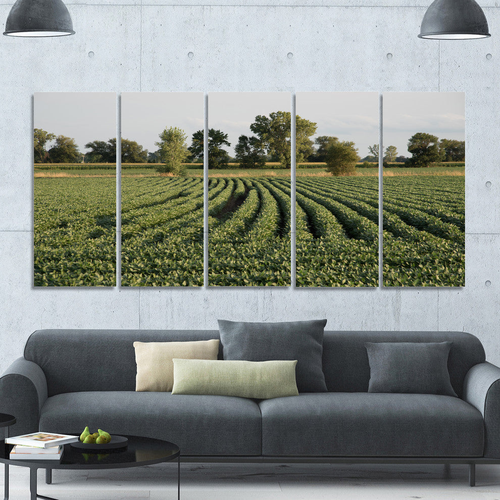 Wisconsin Soybean Field Rows, Landscape Canvas Art Print, 60"x28", 5 Panels