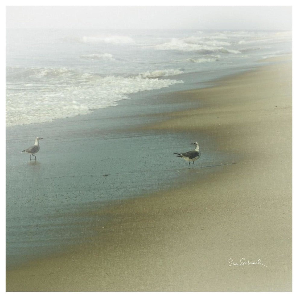"Seabirds" Digital Paper Print by Sue Schlabach, 42"x42"