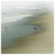 "Seabirds" Digital Paper Print by Sue Schlabach, 42"x42"