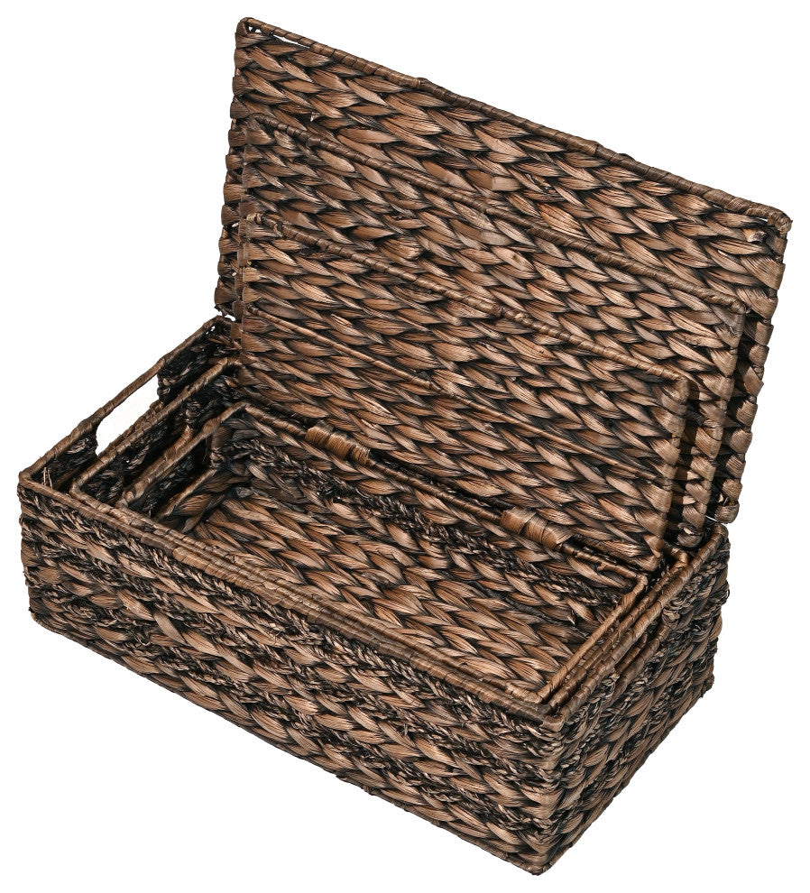 Sandrine Classic Handwoven Hyacinth Storage Baskets With HandleS, Lids, Set 3