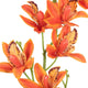 Vickerman 32" Orchid Stem, 6 per Pack, Orange