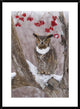 Great Horned Owl In Winter, Howell Nature Center, Michigan, 26"x36"