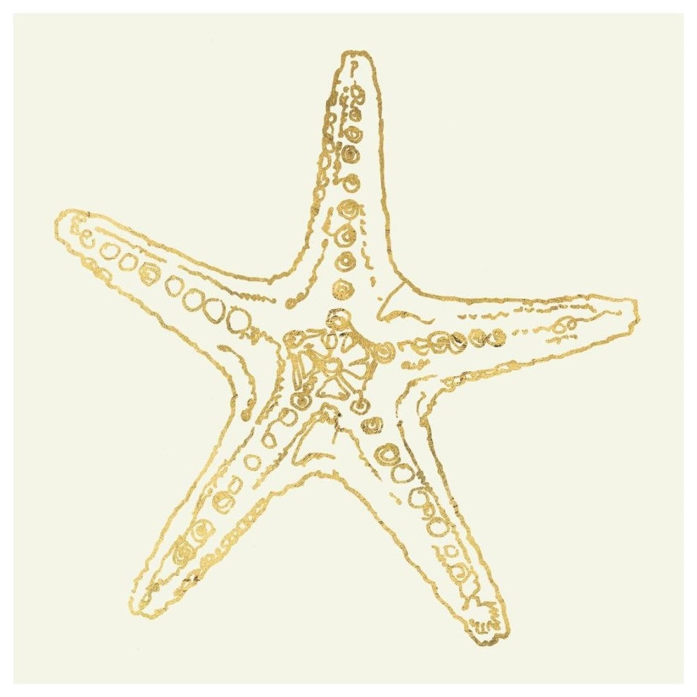 "Coastal Breeze Shell Sketches VI" Paper Print by Anne Tavoletti, 20"x20"