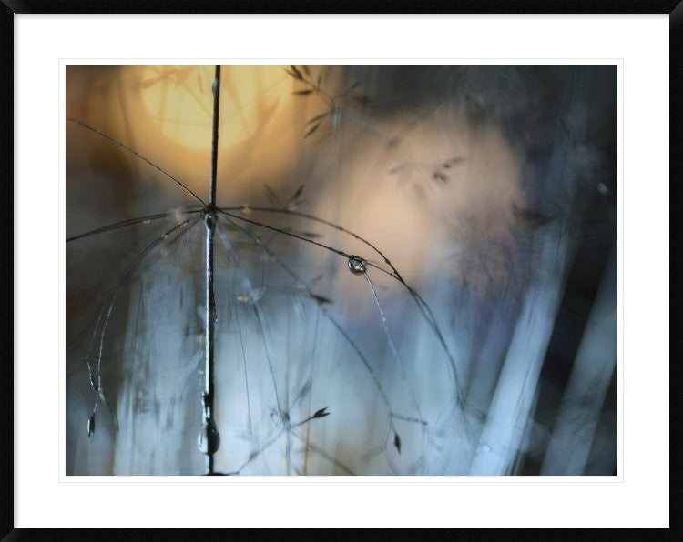 "Almost Dark" Framed Digital Print by Heidi Westum, 40x32"