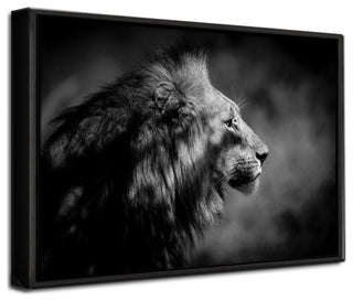 The Male' Framed Print Wall Art by Xavier A