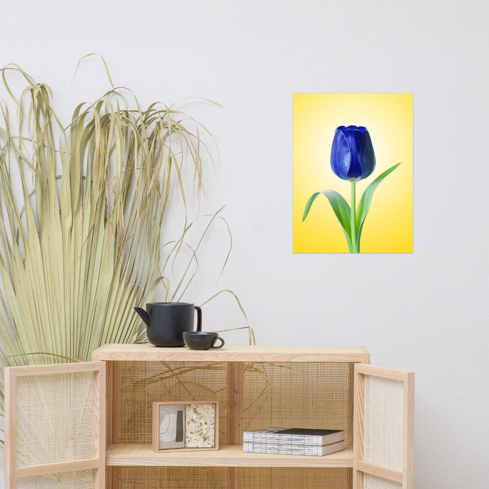 Blue Tulip Minimal Floral Nature Photo Botanical Loose Unframed Wall Art Print, 18" X 24"