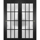 Sliding Bypass Doors 64 x 80, Felicia 3312 Matte Black Frosted Glass