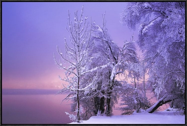 "Stillness" Framed Canvas Giclee by Norbert Maier, 37x25"
