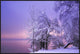 "Stillness" Framed Canvas Giclee by Norbert Maier, 37x25"