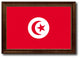 Tunisia Country Flag Canvas Print, 21"x30"