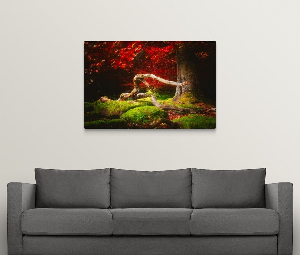 "The Beauty of Silence" Wrapped Canvas Art Print, 48"x32"x1.5"