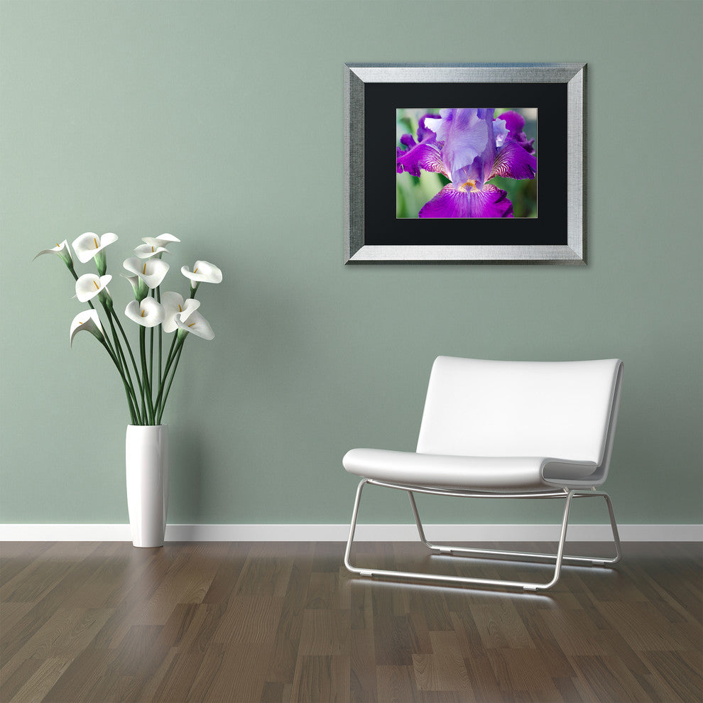 PIPA Fine Art 'Glowing Iris' Matted Framed Art, 20x16