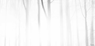 "Blinding White" Artwork