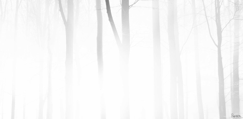 "Blinding White" Artwork