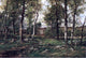 Charles Linford Landscape With Birch Trees Scalp Level Wall Decal