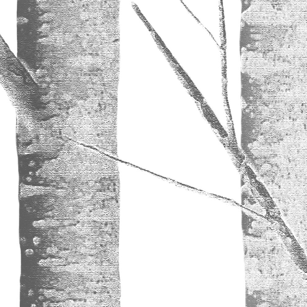 Birch Tree Peel and Stick Vinyl Wallpaper, Gray, 24" X 60"