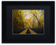 ''Autumn Along the Valley Parkway'' Matted Framed Canvas Art by Kurt Shaffer