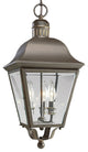 Andover 3-Light Outdoor Hanging Lantern, Antique Bronze and Clear beveled