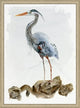 Oversized Heron Study 2, Giclee Reproduction Artwork