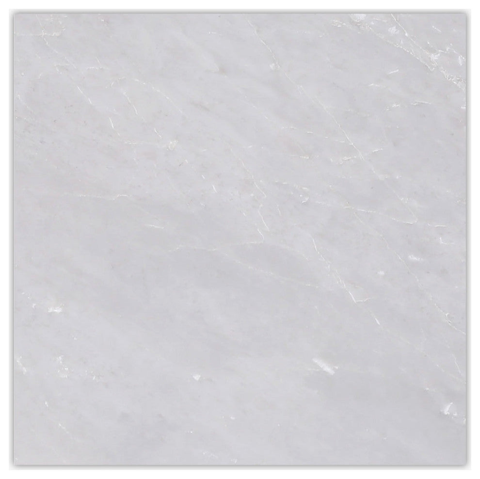 Allure Gray Honed 12x12 Marble Tile