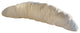 Southport Cedar Large Backrest Pillows, Set of 2