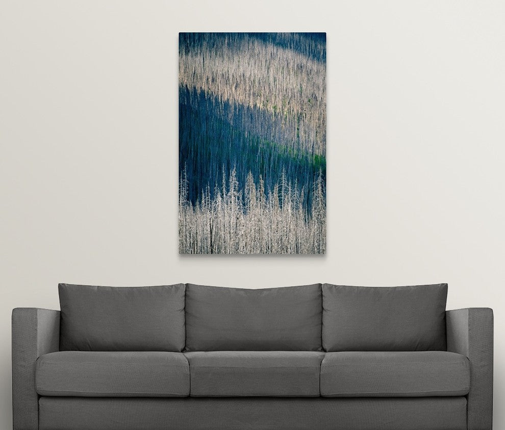 "Light and Shadow" Wrapped Canvas Art Print, 32"x48"x1.5"