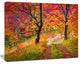 Bright Colorful Fall Trees in Forest, Landscape Canvas Art Print, 40"x30"