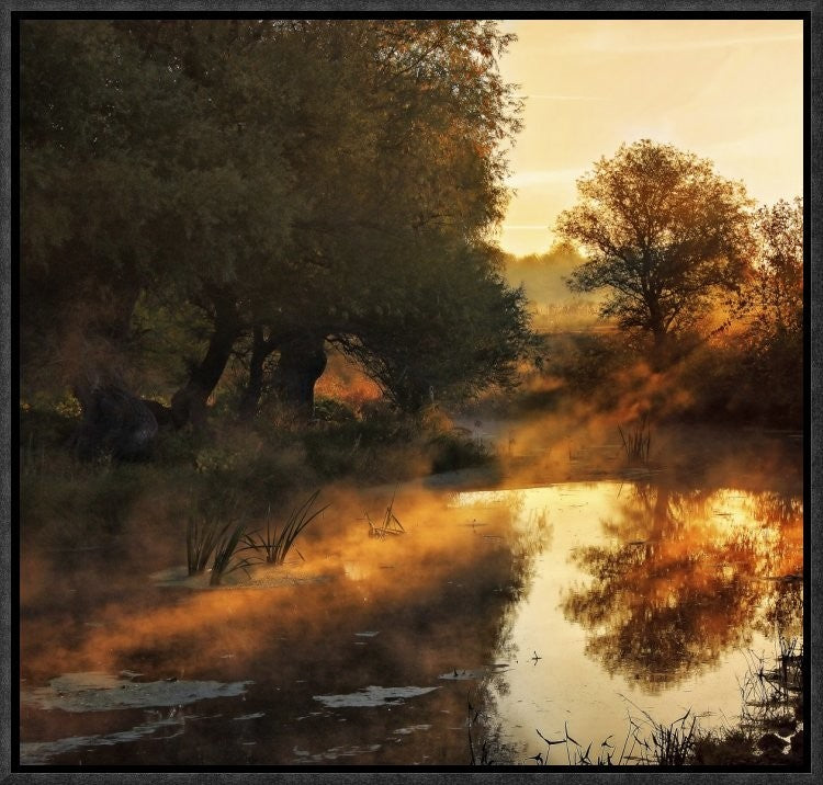 "When Nature Paints With Light" Framed Canvas Giclee by Jimbi, 17x16"