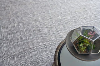 Echo Indoor/Outoor Flatwoven PET yarn Light Silver/Ivory Area Rug