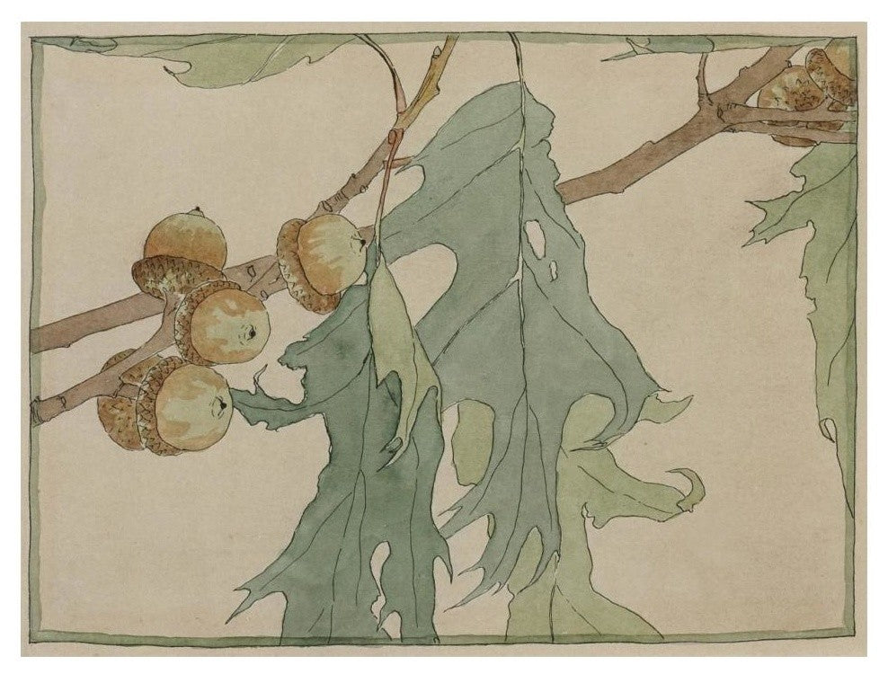 "Oak/Acorns" Digital Paper Print by Hannah Borger Overbeck, 18"x14"