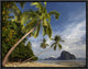 Palm Trees, Pinagbuyutan Island, Palawan, Philippines, 16"x12"