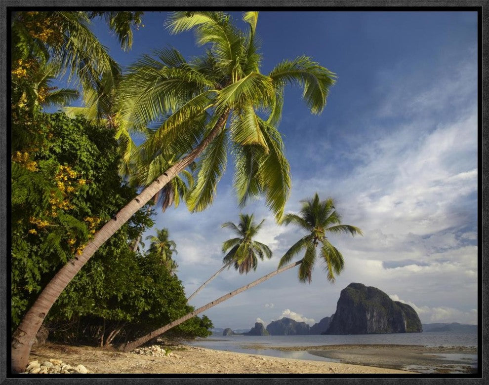 Palm Trees, Pinagbuyutan Island, Palawan, Philippines, 16"x12"