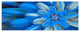 Exotic Dance of Blue Flower Petals, Floral Canvas Art Print, 70"x28", 6 Panels