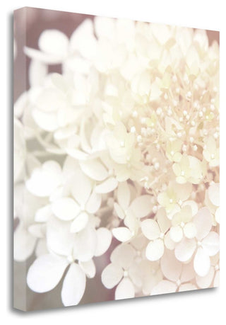 "Hydrangea Dream II" By Laura Marshall, Giclee Print on Gallery Wrap Canvas