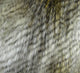 Delicate Alaskan Hawk White Gray Beige Handmade Luxury Pillow, 20"x20"