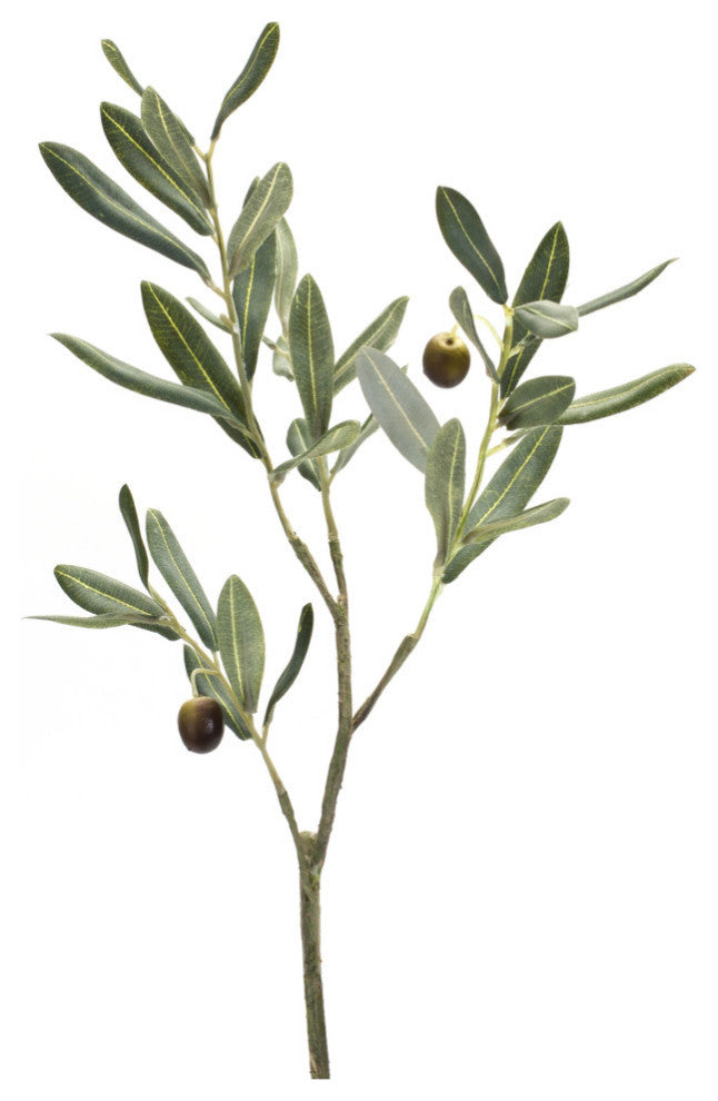 Olive Spray, Set of 6